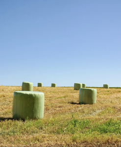 प्लास्टिक कृषि सफेद पैकिंग गोल साइलेज/घास बाले/गांठ - Product Image 4