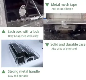 Recinzione in acrilico traspirante a 3 strati per rettili in stile solido per animali domestici custodia per camaleonte <span class=keywords><strong>serpenti</strong></span> Design semplice scatola - Product Image 5