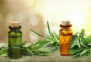 Wholesale Pure Melaleuca Tea <b>Tree</b> Oil Undiluted Antibacterial Plant Extract for Soap <b>Face</b> Cleanser Factory Price - Product Image 2