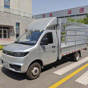 Camionnette électrique Reach Ren T30 |   Haute capacité de charge et longue portée pour les utilisateurs commerciaux mondiaux - Product Image 1