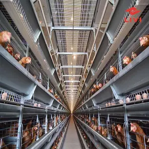 Cages d'élevage de poules en métal modernes commerciales à quatre niveaux de type H pour oiseaux à vendre