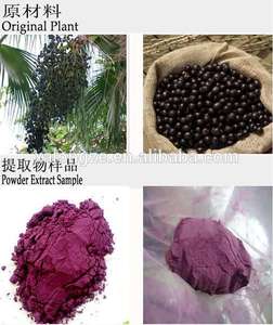 Bubuk buah <span class=keywords><strong>Acai</strong></span> alami murni semprot bubuk beri <span class=keywords><strong>Acai</strong></span> kering - Product Image 3