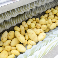Machine industrielle de lavage et de pelage de légumes racineux SUS304, capacité 500-1000 kg/heure, pour patates douces, carottes, gingembre