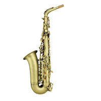 Eastern Music Brand Antique Bronze Finish Brass Body Eb Alto Saxophone Rust Resistant for Students Beginners Professional