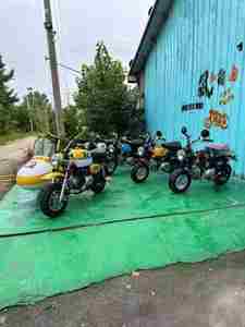 TOP vente <span class=keywords><strong>50cc</strong></span> usine directe hondas singe <span class=keywords><strong>Mini</strong></span> démarrage électrique tout-terrain Pit Bike Pocketbikes Dirt Bike pour enfants - Product Image 5