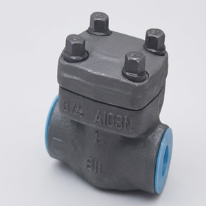 Válvula de Retención de Acero Forjado A105 de Alta Presión con Resorte, Conexión NPT, Válvula Industrial - Product Image 1