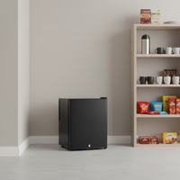 Mini-réfrigérateur domestique et de cuisine 40L, réfrigérateur à porte simple, petit modèle, vente en gros Chine