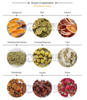 Four de séchage industriel haute performance pour l'utilisation des déchets, déshydrateur commercial pour écorces de fruits et épices alimentaires