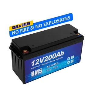 Batterie de stockage d'énergie LifePo4 12V 24V 50Ah 100Ah 200Ah 300Ah 400Ah batterie LifePo4 au lithium-fer-phosphate avec BMS