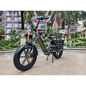 Zerogo 2025 C1 Durable Universal Fit Heavy Duty Cargo Ebike 250w <span class=keywords><strong>Porte</strong></span>-bagages de toit de voiture pour véhicules universels - Product Image 5