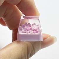 Capuchons de touches en résine 3D translucides personnalisables DIY, profil OEM SA R1, pour claviers mécaniques