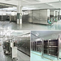 Ligne de production semi-automatique de mini-chocolats, machine à en-cas alimentaires, machine à chocolat en barre