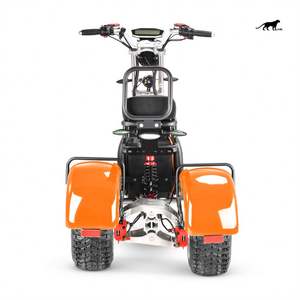 Motocicleta doble de 2000W, triciclo para adultos, patinete eléctrico de 3 ruedas, pantalla LCD personalizada, 60V, 10 pulgadas, Sidecars, triciclo, 2 manos abiertas, 225 - Product Image 4