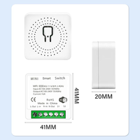 Mini interrupteur intelligent WiFi 16A 1 Gang 2 voies, module d'interrupteur intelligent DIY compatible avec l'application Smart Life/Tuya, compatible avec Alexa et Google Relay