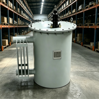 Transformateur monophasé de type colonne, aérien, D11 10kVA 15KVA 25KVA 37KV 50KVA 75KVA 100KVA 167KVA 333KVA