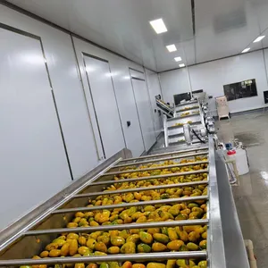 芒果去皮机芒果热泵芒果汁加工机生产线