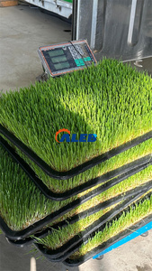 Automatic Vertical Farming Container Hydroponic Aeroponic Plant Grow <strong>System</strong> with Motor Factory-Supply for <strong>Efficient</strong> Growing - Product Image 6