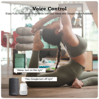 Module de commutation WiFi GIRIER Smart Breaker Relay, prise en charge du contrôle bidirectionnel, domotique Tuya 16A