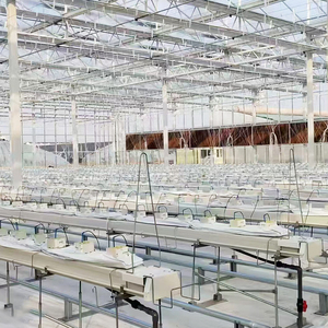 Compact 4m*0.8m*1.8m Hydroponic With Vertical <b>Rack</b> NFT System Large Size for Tomato/Lettuce Crops Hydroponic Sys - Product Image 5