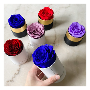 Équateur roses conservées 1pc fleur préservée boîte-cadeau finie <span class=keywords><strong>rose</strong></span> petite boîte à la main pour <span class=keywords><strong>rose</strong></span> préservée - Product Image 3