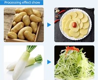 Multifunctionele groente- en fruitsnijder, gember snijmachine, wortel-, ui- en aardappelsnijder
