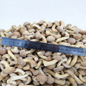 <span class=keywords><strong>Prix</strong></span> de gros IQF Champignons Nameko surgelés en vrac Biologique Sain Naturel 100% Nameko surgelé avec vente directe d'usine - Product Image 4