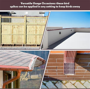 Pointes d'oiseaux de pigeons en plastique de lutte antiparasitaire de différentes tailles pour fournitures de jardin en plein air - Product Image 4