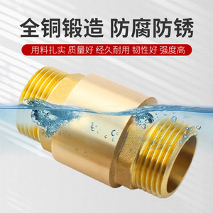 Válvula de Retención de Latón Huihong, de Paso Recto, de Disco Único, para Agua y Petróleo, Válvula Unidireccional, Superficie Pulida - Product Image 2