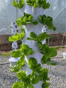 Sistema de Cultivo Hidropónico Vertical de 9 Niveles y 36 Orificios para Agricultura - Product Image 5