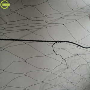 <span class=keywords><strong>Red</strong></span> <span class=keywords><strong>Invisible</strong></span> <span class=keywords><strong>para</strong></span> <span class=keywords><strong>Pájaros</strong></span> a Precio Económico <span class=keywords><strong>para</strong></span> Jardín - Product Image 3