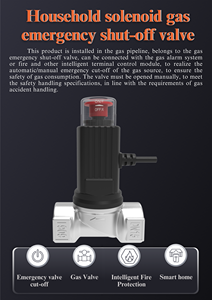 Nhà bếp hệ thống báo động van điện từ máy dò rò rỉ khí vật liệu chống cháy nổ máy dò khí nhà Van điện từ - Product Image 5