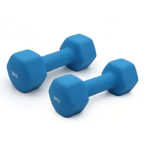 Wholesale Colorful Home Fitness Basics Easy Grip Hex Neoprene Coated Workout Dumbbells