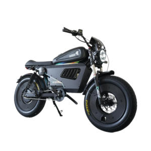 Bicicleta de Cross de Alto Rendimiento, Triciclo, Bicicleta de Equilibrio y Quad para Aventuras al Aire Libre, Bicicleta de Cross Eléctrica SK-2 - Product Image 2