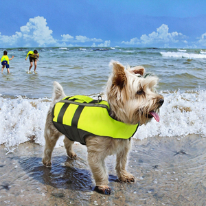 Спасательный жилет для собак и кошек в полоску по конкурентной цене, роскошный летний морской костюм для питомцев, размеры XS-XL, оптом - Product Image 3