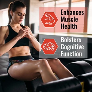 High Quality Iron Plus Powder It Helps Strengthen Immune Defense and Bolsters Cognitive Function with Dietary <b>Supplement</b> - Product Image 1