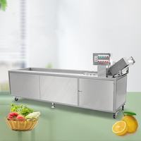 Dezoton Industriële Fruit Groente Wasmachine 304 Roestvrijstalen Wasmachine voor Kantine Centrale Keuken 220V 380V Eenvoudig te bedienen