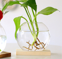 Pots de jardinière en verre transparent avec Station en bois Vase de propagation, Vase hydroponique en verre pour la décoration de la maison et du salon
