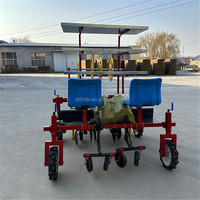 Transplanteuse agricole à deux rangs pour légumes, patates douces, tomates, oignons, ananas, avec boîte de vitesses, haute productivité