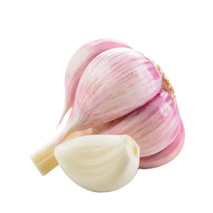 Newest China garlic normal white purple garlic green hot vegetable export Ecuador Spain Senegal