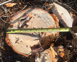 เครื่องตัดไม้ไฮดรอลิกสำหรับงานป่าไม้คุณภาพสูง ใช้พลังงานไฟฟ้า พร้อมการรับประกัน 1 ปี - Product Image 6