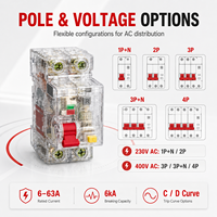 Disjoncteur différentiel transparent DZ47TRLES RCBO 1P+N 2P 3P 3P+N 4P 6A-63A 230V 400V 6kA 15-300mA Courbe C D
