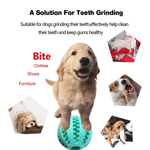 Jouet à mâcher interactif pour chien en caoutchouc naturel ultra-résistant, OEM ODM, pour le nettoyage des dents - Product Image 5