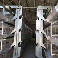 Nouvelle cage à poules automatique BangYuan, best-seller, type cage à poules pondeuses, en acier galvanisé à chaud, 3/4 niveaux, haute précision