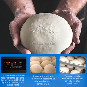 Corrector de <span class=keywords><strong>pan</strong></span> comercial para hornear, masa fermentar, hacer yogur y Descongelar alimentos, gabinete de acero inoxidable - Product Image 4