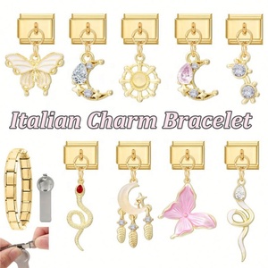 Cross-Border Hot Pink Series Gold Pendant DIY Stainless Steel <b>Bracelet</b> Italian Module Accessories for Fashion Charm <b>Bracelets</b> - Product Image 6