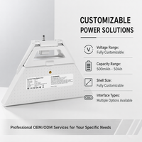 Paquete de Baterías Starlink Mini de Capacidad Personalizada, Cualquier Conector, Banco de Energía Portátil, Solución de Energía para Exteriores, OEM
