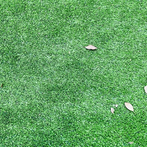 Triệu ngoài trời chơi cỏ Thảm ngoài trời sàn thảm Vườn cỏ nhân tạo trang trí cỏ tổng hợp PE vật liệu cỏ - Product Image 1