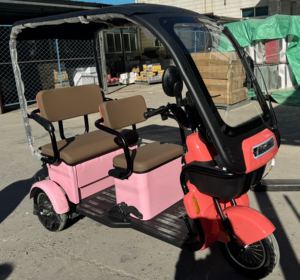 New Model Adult Electric Tricycles 3 Three Wheels Electric <strong>Motorcycle</strong> Bicycles for Passenger <strong>with</strong> <strong>Roof</strong> - Product Image 6