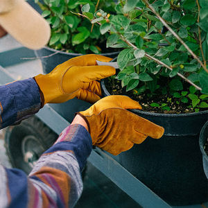 قفازات حديقة جلدية ممتازة قفازات صفراء مقاومة للشوكة للخدمة الشاقة للعمل في جميع الأحوال الجوية البستنة في الهواء الطلق - Product Image 4