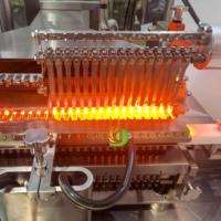 Machine de scellage d'ampoules en verre sous vide à flamme oxyhydrogène DAYE Rotary Station PLC, compatible avec générateur d'hydrogène HHO, garantie 1 an